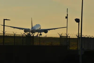 DSC_5708 (Large).JPG